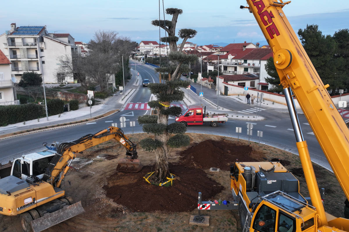 Vodice dobile novu vizuru na ulazu u grad: postavljena impresivna maslina