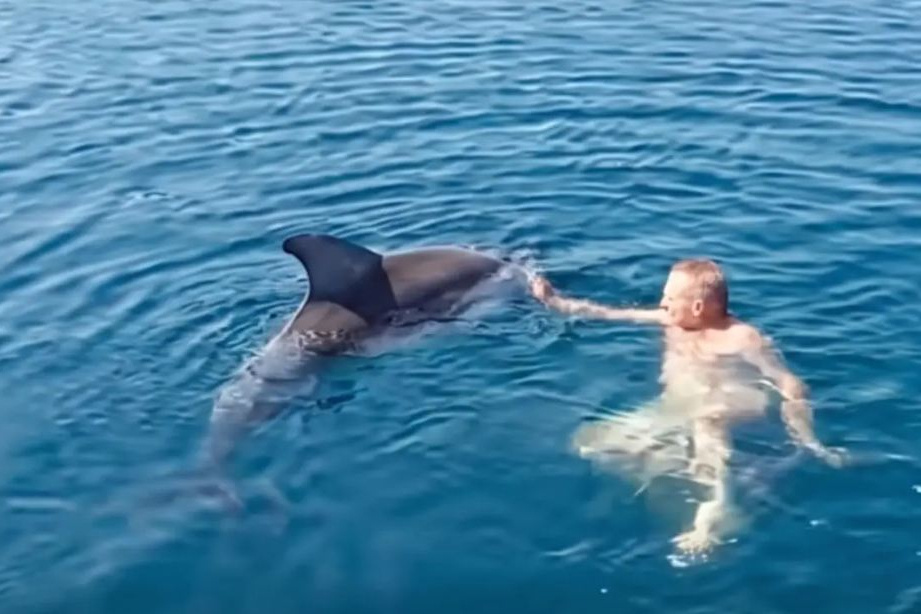 Delfin zaplivao među kupačima u Dalmaciji: Stručnjaci upozoravaju da ga ne dirate