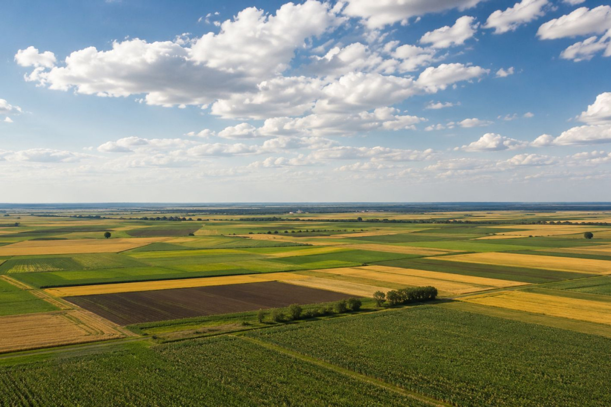 Jedan kadar, 200 ljudi i 60 država: Šime Strikoman priprema novu milenijsku fotografiju
