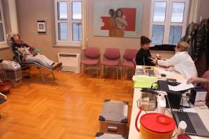 IMG_4042_Medium_original