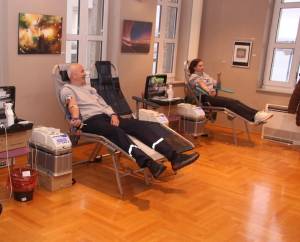 IMG_4225_Medium_original