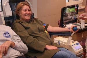 IMG_4246_Medium_original