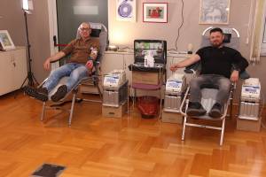 IMG_4247_Medium_original