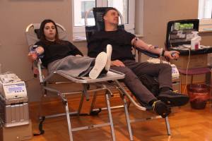 IMG_4278_Medium_original