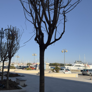 viber_slika_2025-02-18_20-54-21-849