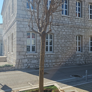 WhatsApp Slika 2025-02-18 u 14.33.50_369d6045