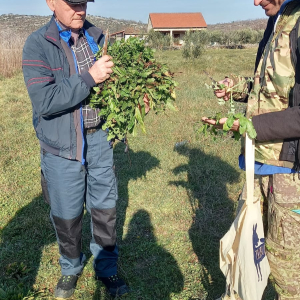 WhatsApp Slika 2025-02-21 u 19.13.21_50ddd3ec