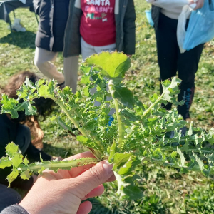 WhatsApp Slika 2025-02-21 u 19.13.22_30dec613