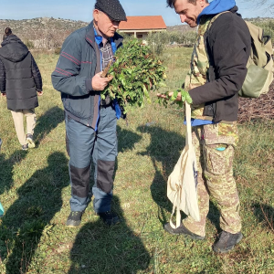 WhatsApp Slika 2025-02-21 u 19.13.23_e5c2a4d7