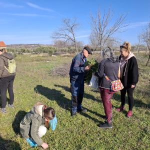 WhatsApp Slika 2025-02-21 u 20.04.48_387295d4