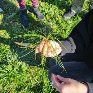 WhatsApp Slika 2025-02-21 u 20.58.53_092c63d1