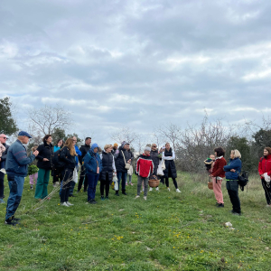 WhatsApp Slika 2025-02-22 u 14.36.15_b4f5551f