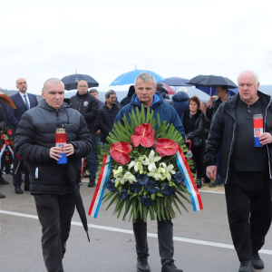 d41aec8b-cd4b-4c90-a1ea-772e79496cbf