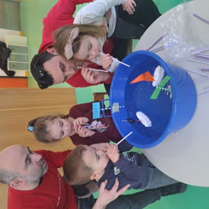 20250317_163513 Custom