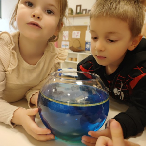 IMG_20250210_110120 Custom