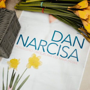 narcisi (7 of 24)