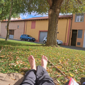 IMG-20250317-WA0044