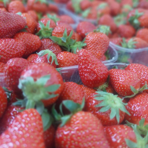 FB_IMG_1746430102478