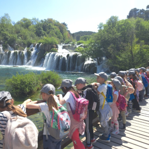 20250422_123743 Custom