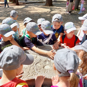 IMG-20250422-WA0028 Custom