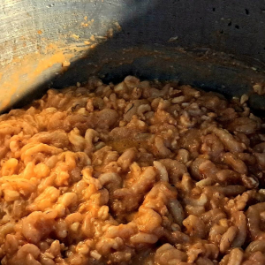 494374505_1274351801362661_1832277204927621406_n