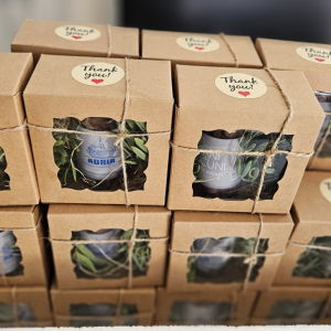 501125830_1152828350191692_4700666849984841208_n