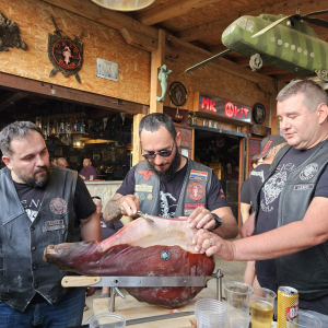 0-02-05-dde4a596499a5bc784772c12198fedf6427862922fbeafcac0439260e005f58b_bdd0e45cf1355c61