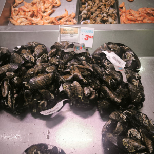 IMG-20250624-WA0025