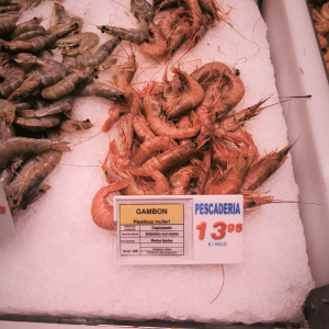 IMG-20250624-WA0026