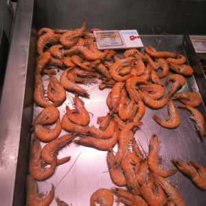 IMG-20250624-WA0027