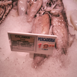 IMG-20250624-WA0029