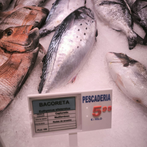 IMG-20250624-WA0031