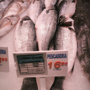 IMG-20250624-WA0032