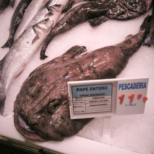 IMG-20250624-WA0033