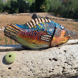 457868392_546397841285681_3872735206053637034_n