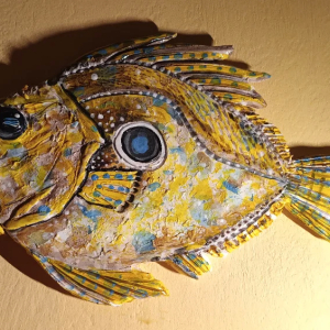 499586896_18067678037493500_3637901838286184542_n