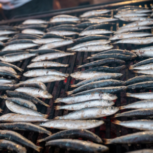 520463406_1315867277215992_4159648101044087613_n