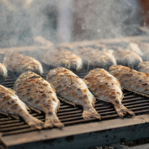 522720054_1315866300549423_4643917101202741686_n