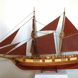 Halcon s crvenim jedrima