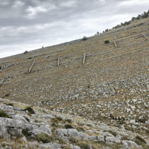 IMG-20250830-WA0070