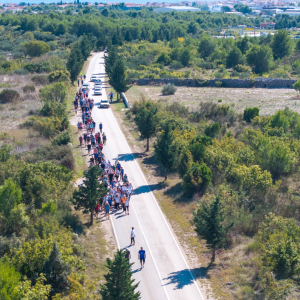 camino (Large)