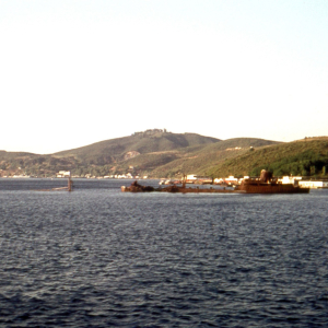 Niels Anker Larsena kolekcija