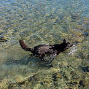 WhatsApp Image 2025-12-26 at 13.08.04