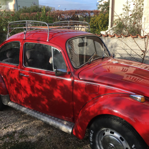 WhatsApp Image 2026-01-02 gat 16.51.10