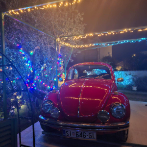 WhatsApp Image 2026-01-0g2 at 16.53.08