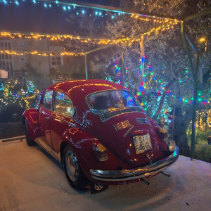 WhatsApp Image 202b6-01-02 at 17.06.37