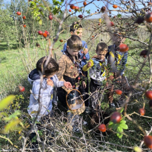 0-02-05-0558e5885b7a11c816eb819aedd7a09e57f63f63658092f3d27be6fda731b117_5119323694fec25