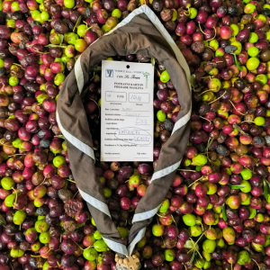 0-02-05-604adce9b1a3ad79f84407cb4983527675974ac5907b3704a35a8630d315c675_d5085f98d38ea085