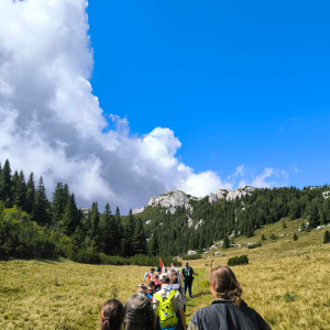 0-02-05-8215167476ee3ae079d26d7a6917df1e64fe13f73d0e76f5b85ac7897fc210e3_d2227c9fc32ae3e0