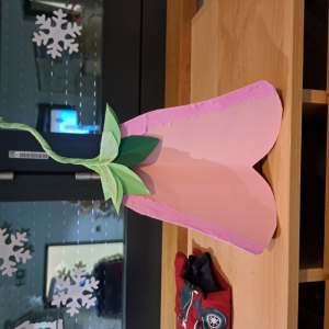 20260115_083246 Custom